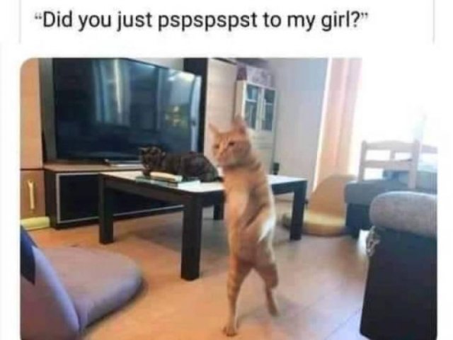 Random Funny Memes (51 pics)