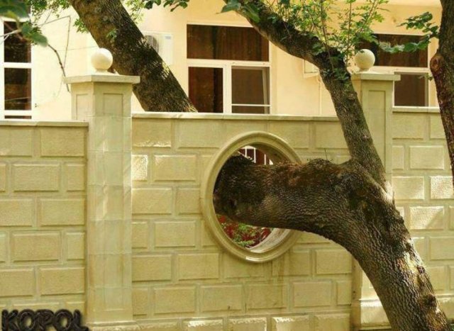 Acid Picdump 1 (84 pics)
