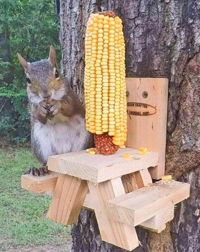 Acid Picdump 1 (84 pics)