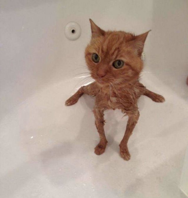 Acid Picdump 1 (84 pics)
