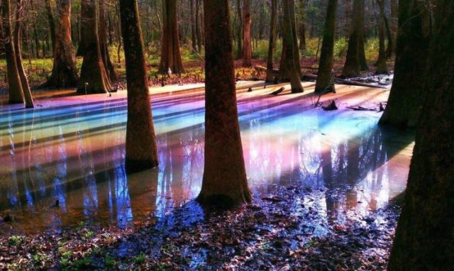 Acid Picdump 1 (84 pics)