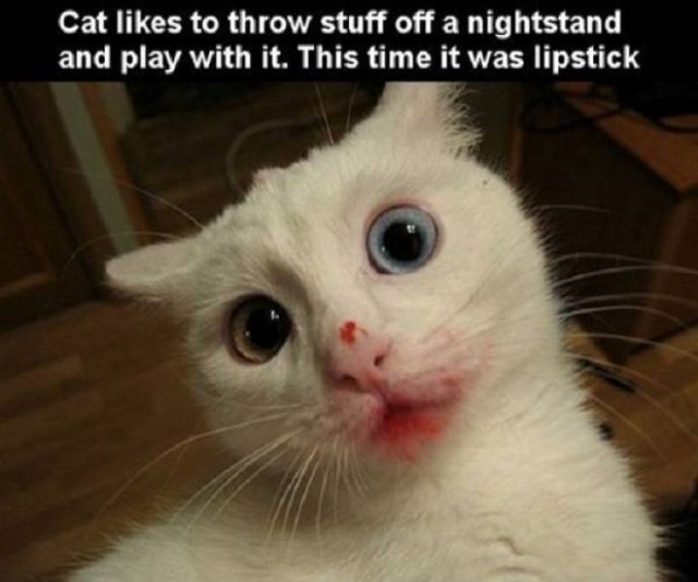 Things That May Serve Other Purposes (19 pics)