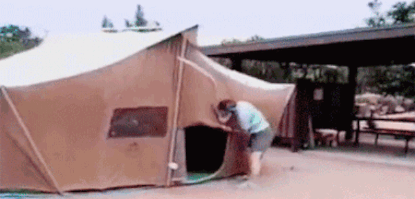 Things That May Serve Other Purposes (19 pics)