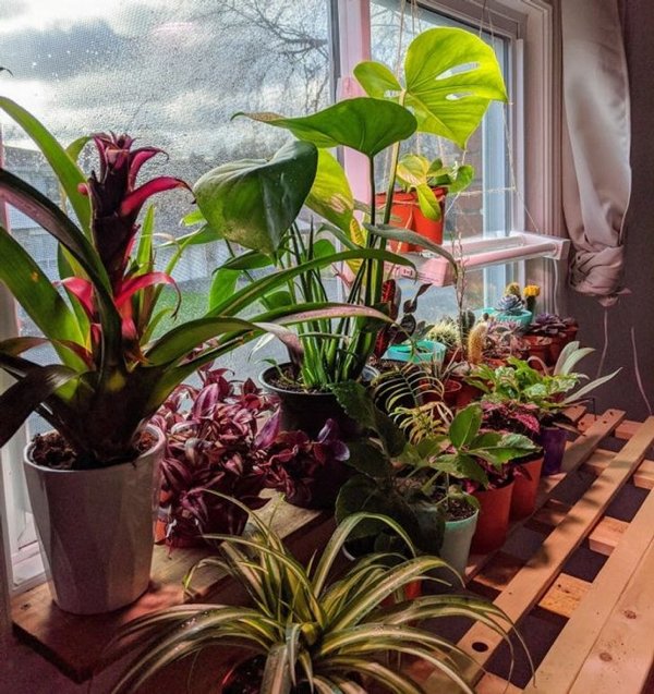 People Who Perfected In Gardening (20 pics)