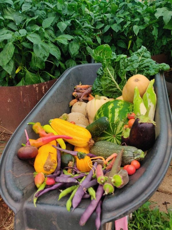 People Who Perfected In Gardening (20 pics)
