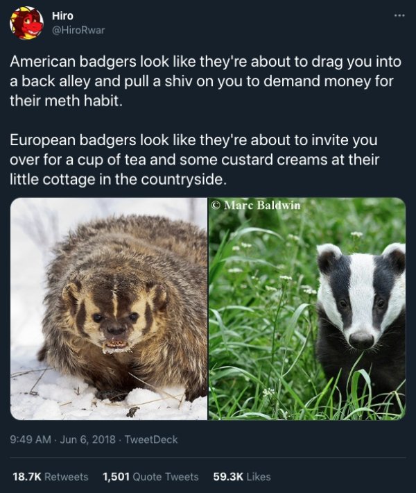 Odd Tweets (27 Pics)