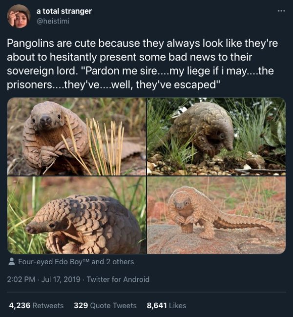 Odd Tweets (27 Pics)