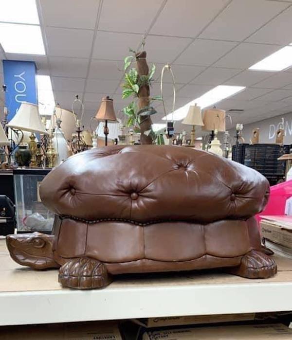 You Definitely Need These Things (36 pics)