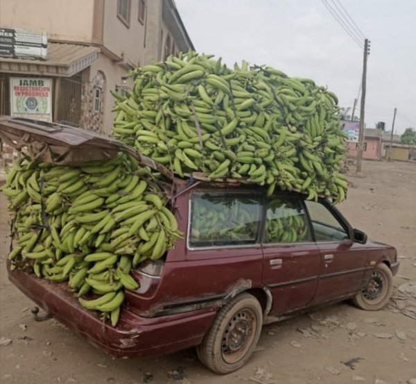 Explanation Needed (25 pics)