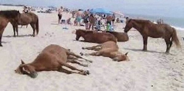 Explanation Needed (25 pics)