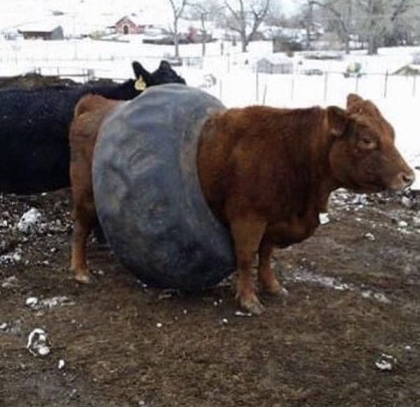 Explanation Needed (25 pics)