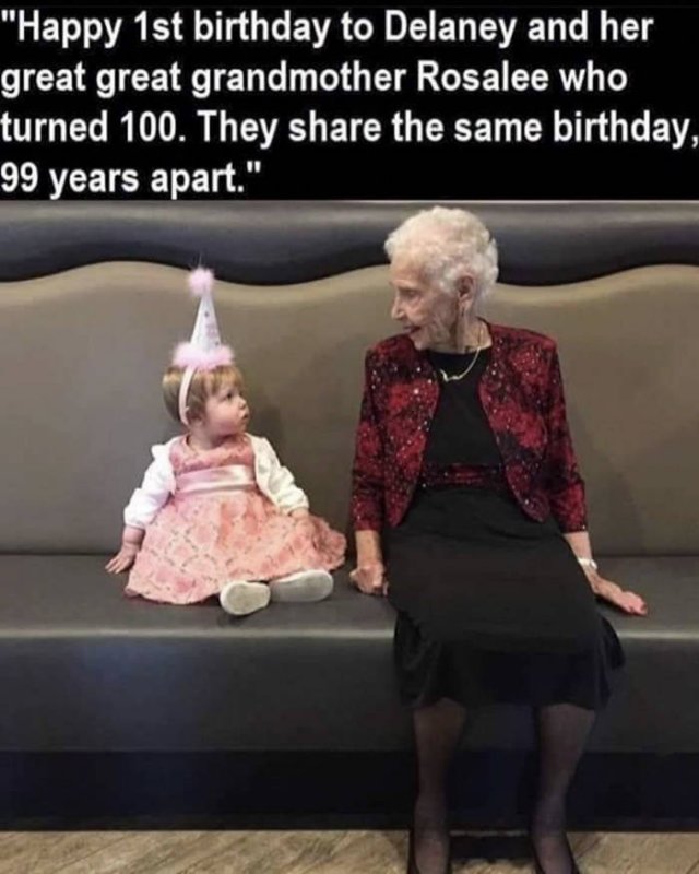 Wholesome Photos (33 pics)