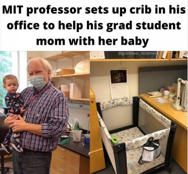 Wholesome Photos (33 pics)