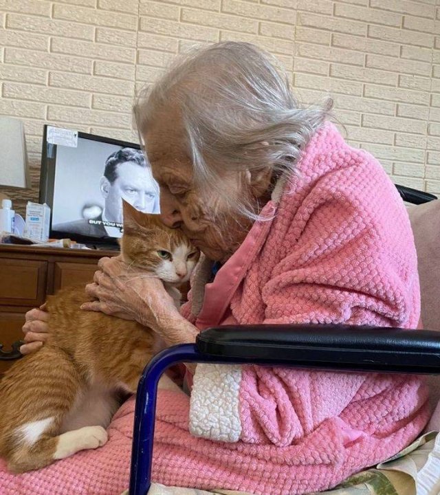 Wholesome Photos (33 pics) Wholesome Photos (33 pics)