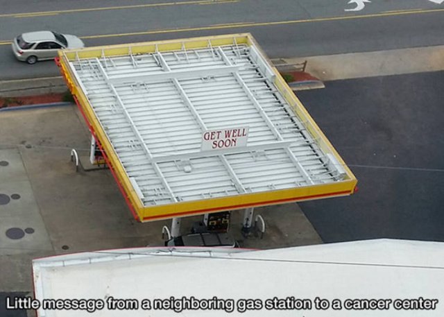 Wholesome Photos (33 pics)