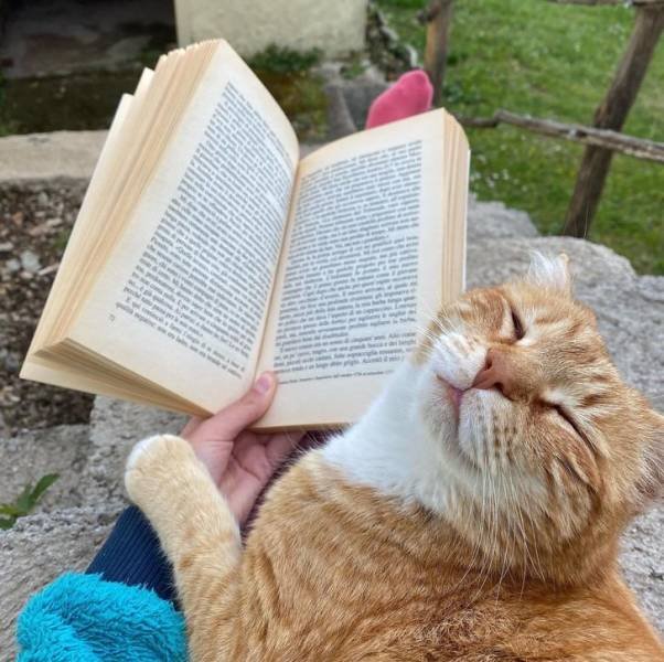 Wholesome Photos (33 pics) Wholesome Photos (33 pics)