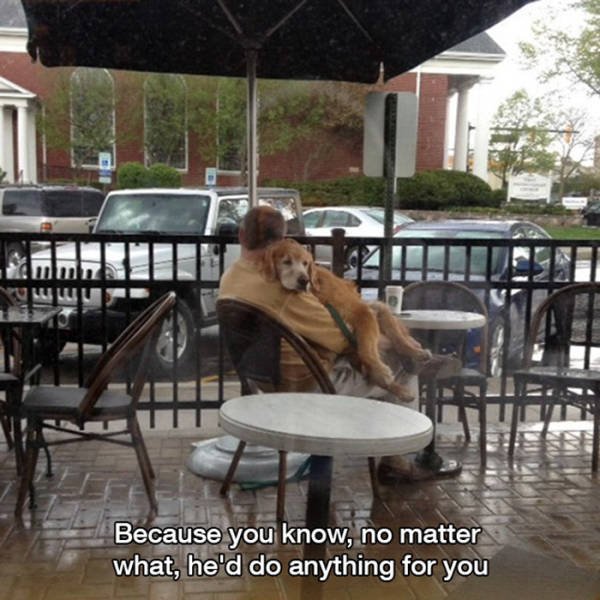 Wholesome Photos (33 pics)