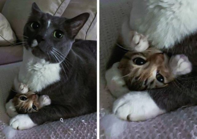 Wholesome Photos (33 pics) Wholesome Photos (33 pics)