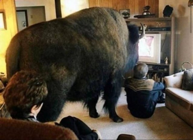 Acid Picdump 1 (84 pics)