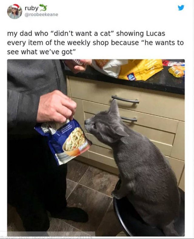 Wholesome Photos (33 pics)
