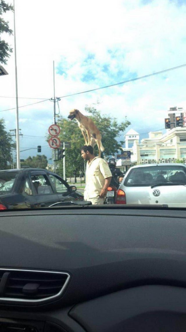 Acid Picdump 1 (84 pics)