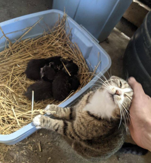 Wholesome Photos (33 pics) Wholesome Photos (33 pics)