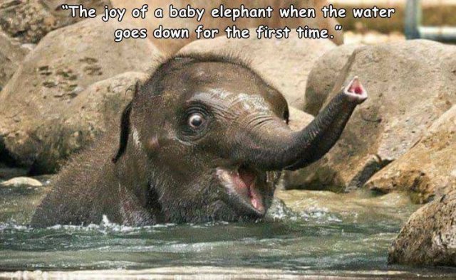 Acid Picdump 1 (84 pics)