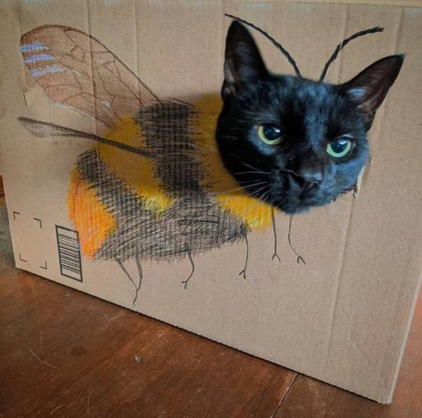 Acid Picdump 1 (84 pics)