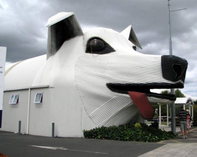 Acid Picdump 1 (84 pics)