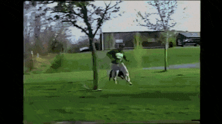 Acid Gifdump, June 3 (25 gifs)