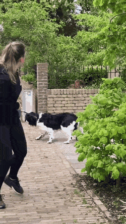 Acid Gifdump, June 3 (25 gifs)