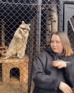 Acid Gifdump, June 3 (25 gifs)