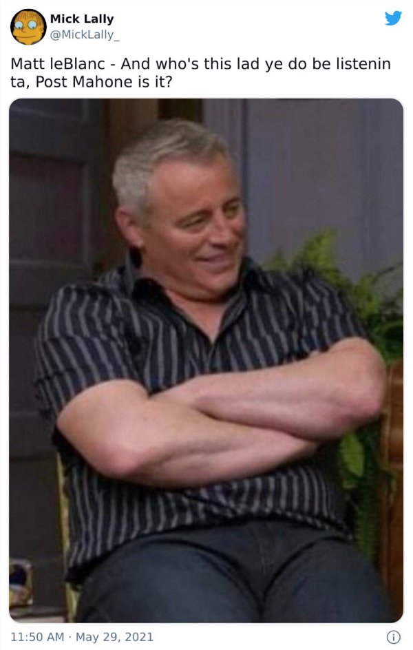Matt LeBlanc Humor (35 pics)