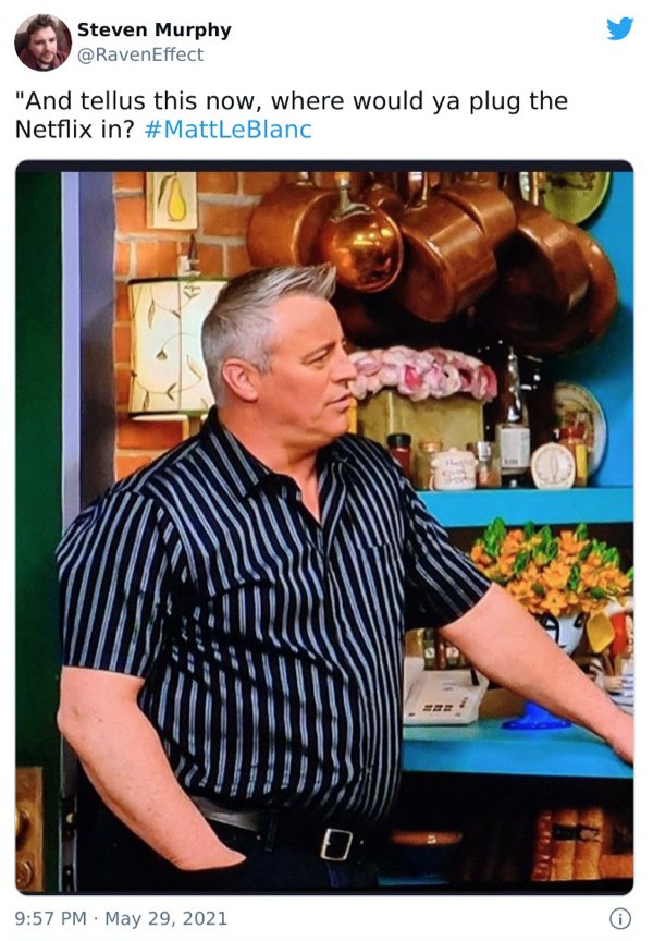 Matt LeBlanc Humor (35 pics)