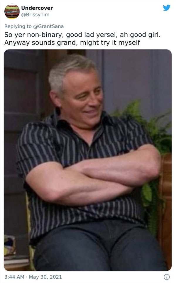 Matt LeBlanc Humor (35 pics)