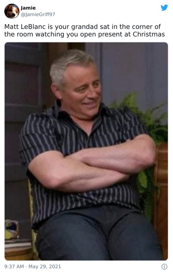Matt LeBlanc Humor (35 pics)