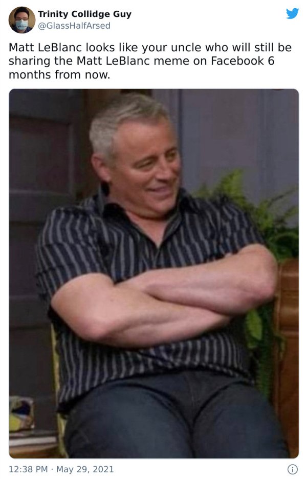 Matt LeBlanc Humor (35 pics)