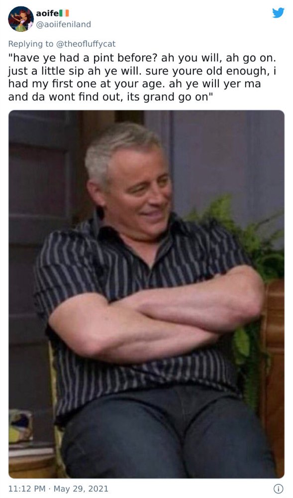 Matt LeBlanc Humor (35 pics)