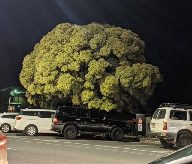 Look Twice (27 pics)
