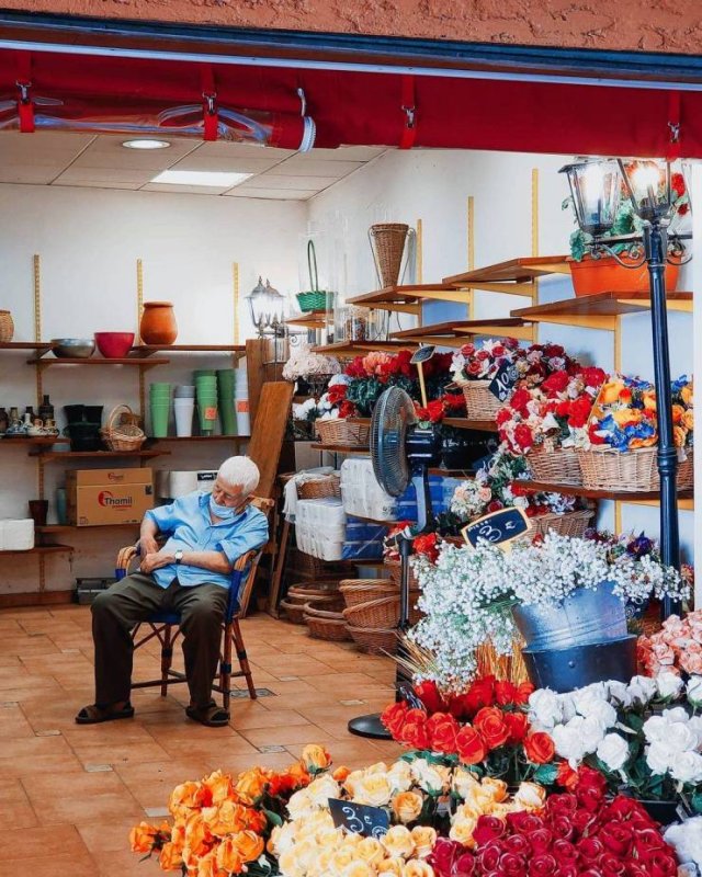 Men Shopping With Their Wives (37 pics)
