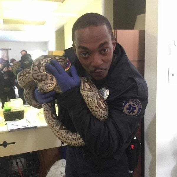 Unpleasant Celebrity Encounters (14 pics)