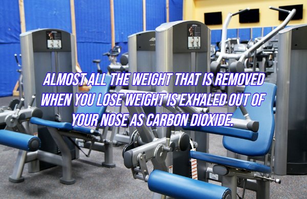 Intriguing Facts (20 pics)