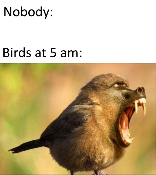 Summertime Memes (30 pics)