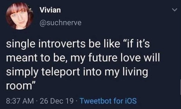Introvert Memes (26 pics)