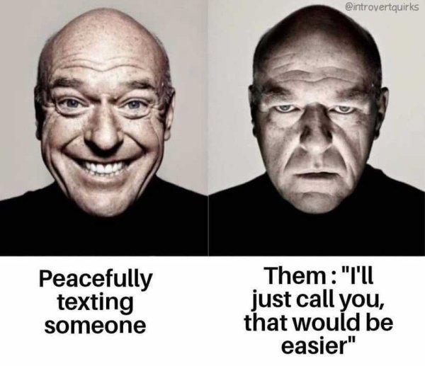 Introvert Memes (26 pics)