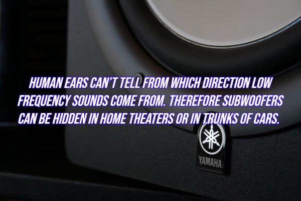 Intriguing Facts (20 pics)