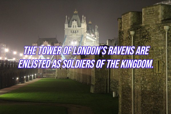 Intriguing Facts (20 pics)