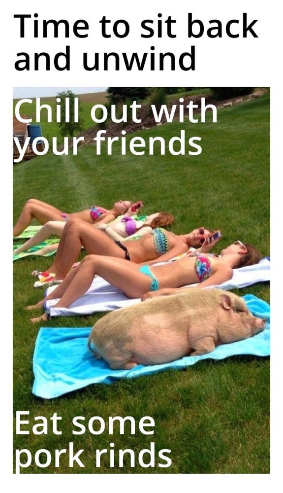 Summertime Memes (30 pics)