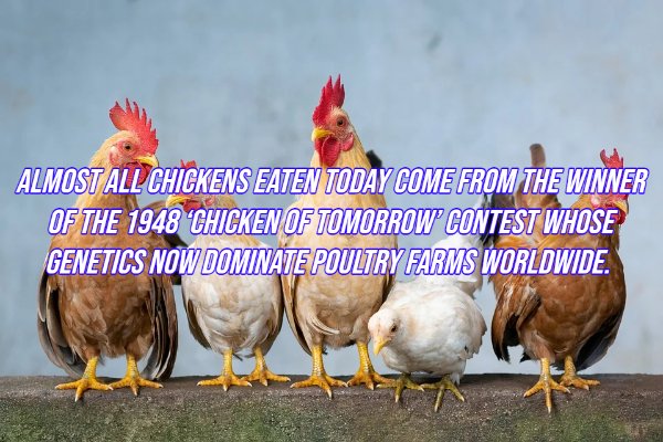 Intriguing Facts (20 pics)