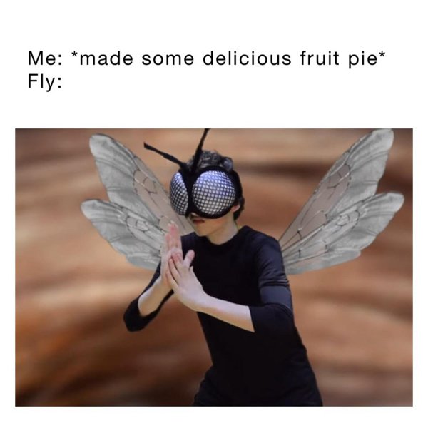 Summertime Memes (30 pics)